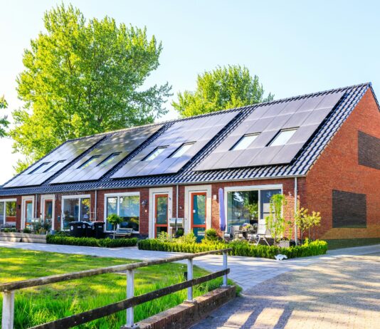 Eco-Friendly Home Improvement Tips: A Complete Guide for Sustainable Living